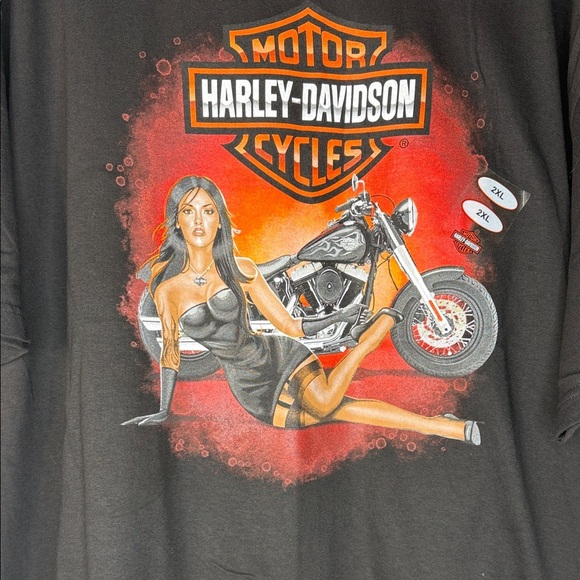 Harley-Davidson Vehicle City,Flint, Michigan Sz 2X - Picture 3 of 10